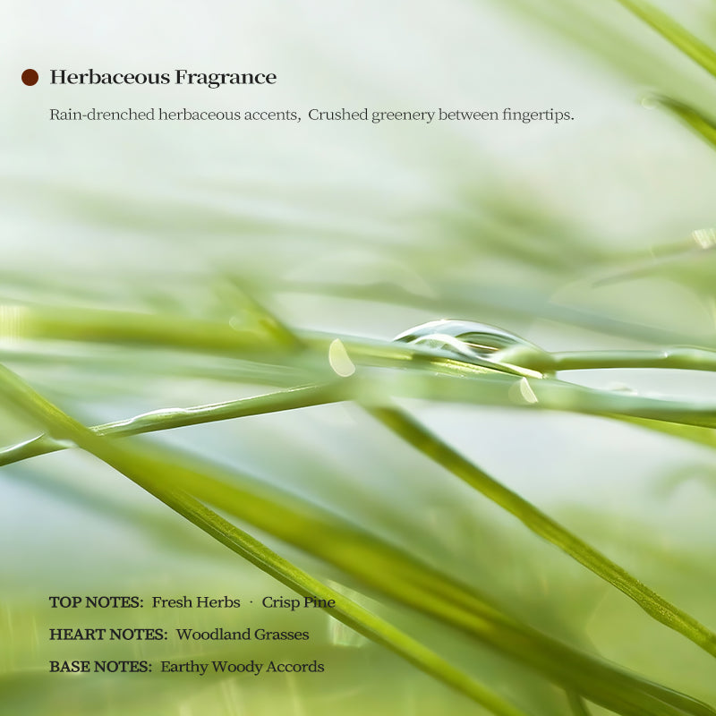 Fresh Herb Scent Profile - Nature Inspired Green Grass and Dew Drops for Home Fragrance