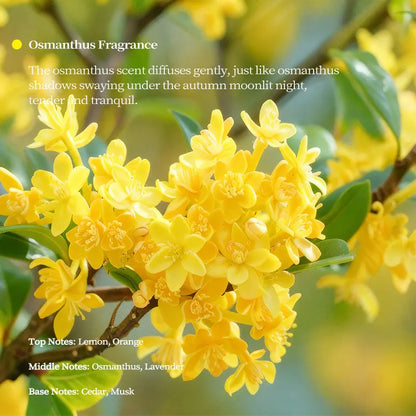 The Gilded Silhouette™ | Sculptural Porcelain Vessel Floral.Osmanthus / 170g(Wood Wick)