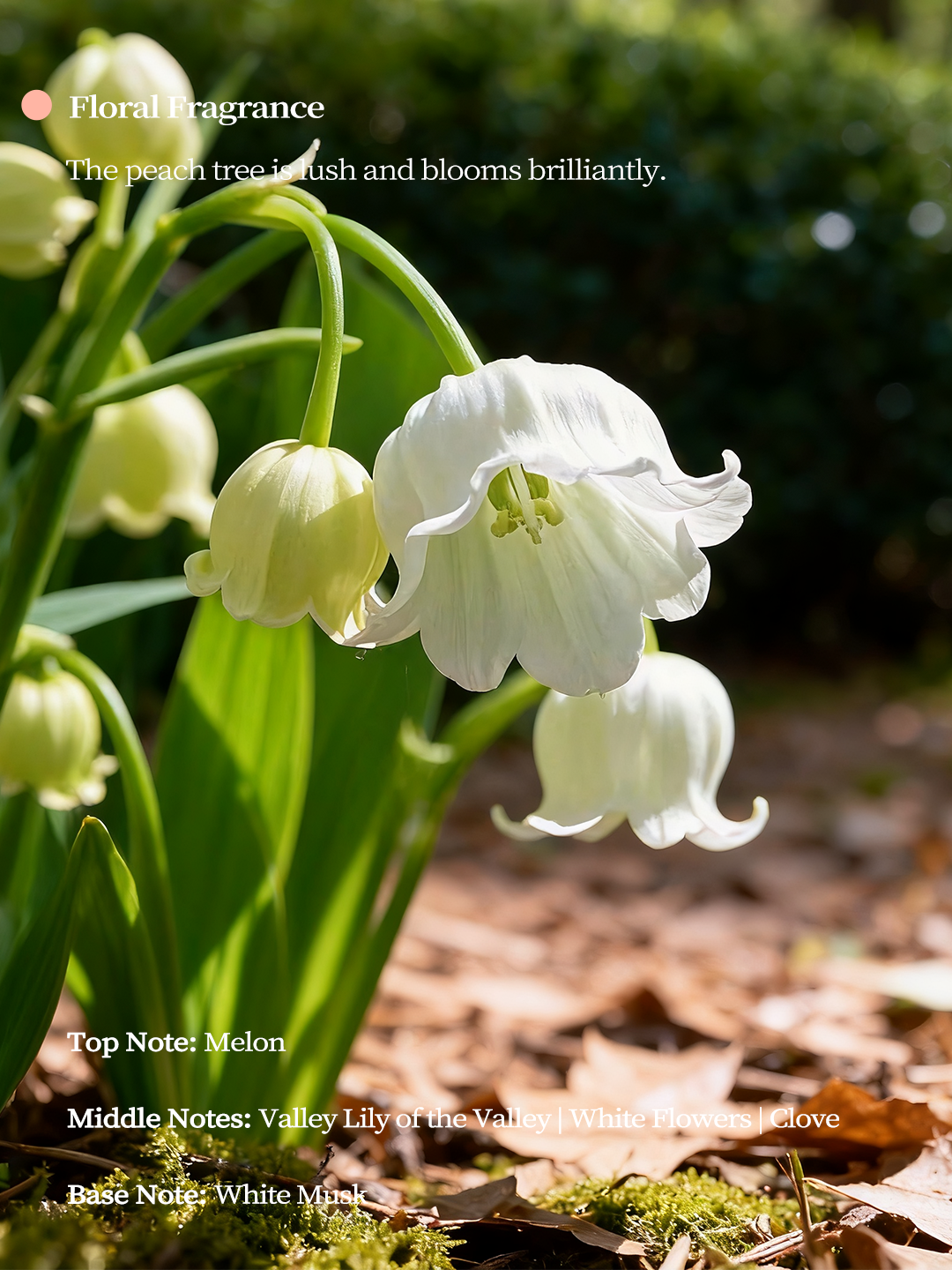 The Blush Silhouette™ | Artisan Glazed Porcelain Vessel