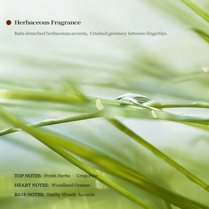Fresh Herb Scent Profile - Nature Inspired Green Grass and Dew Drops for Home Fragrance