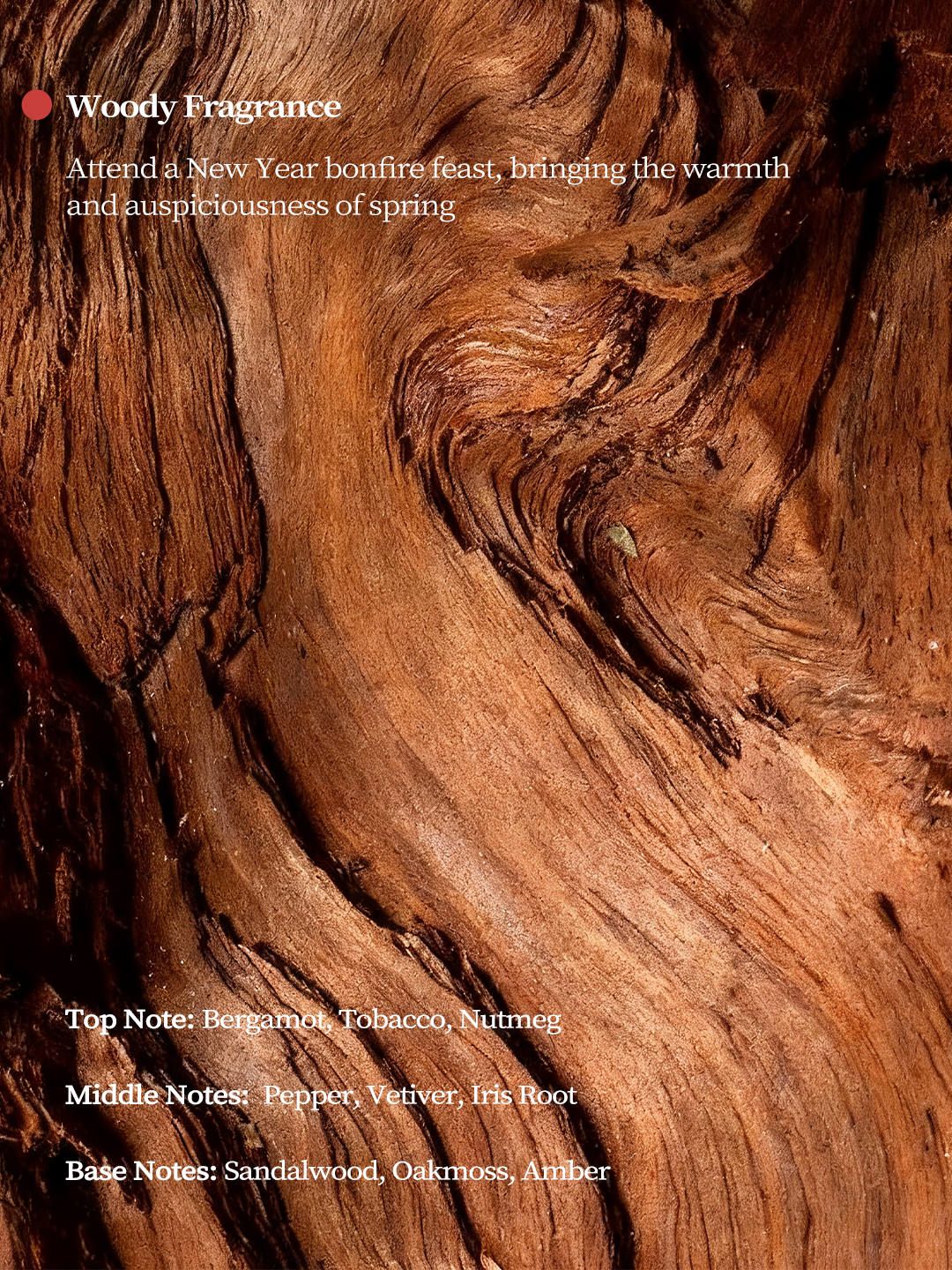 The Rouge Silhouette™ | Imperial Red Porcelain Vessel