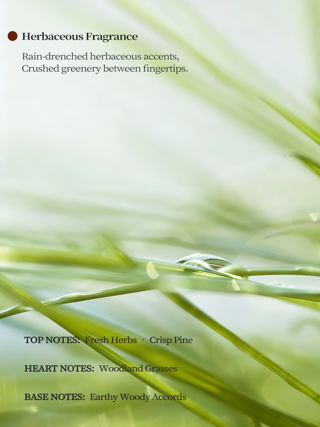 The Blanc Silhouette™ | Blanc de Chine Porcelain Vessel