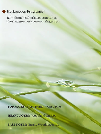 The Blanc Silhouette™ | Blanc de Chine Porcelain Vessel