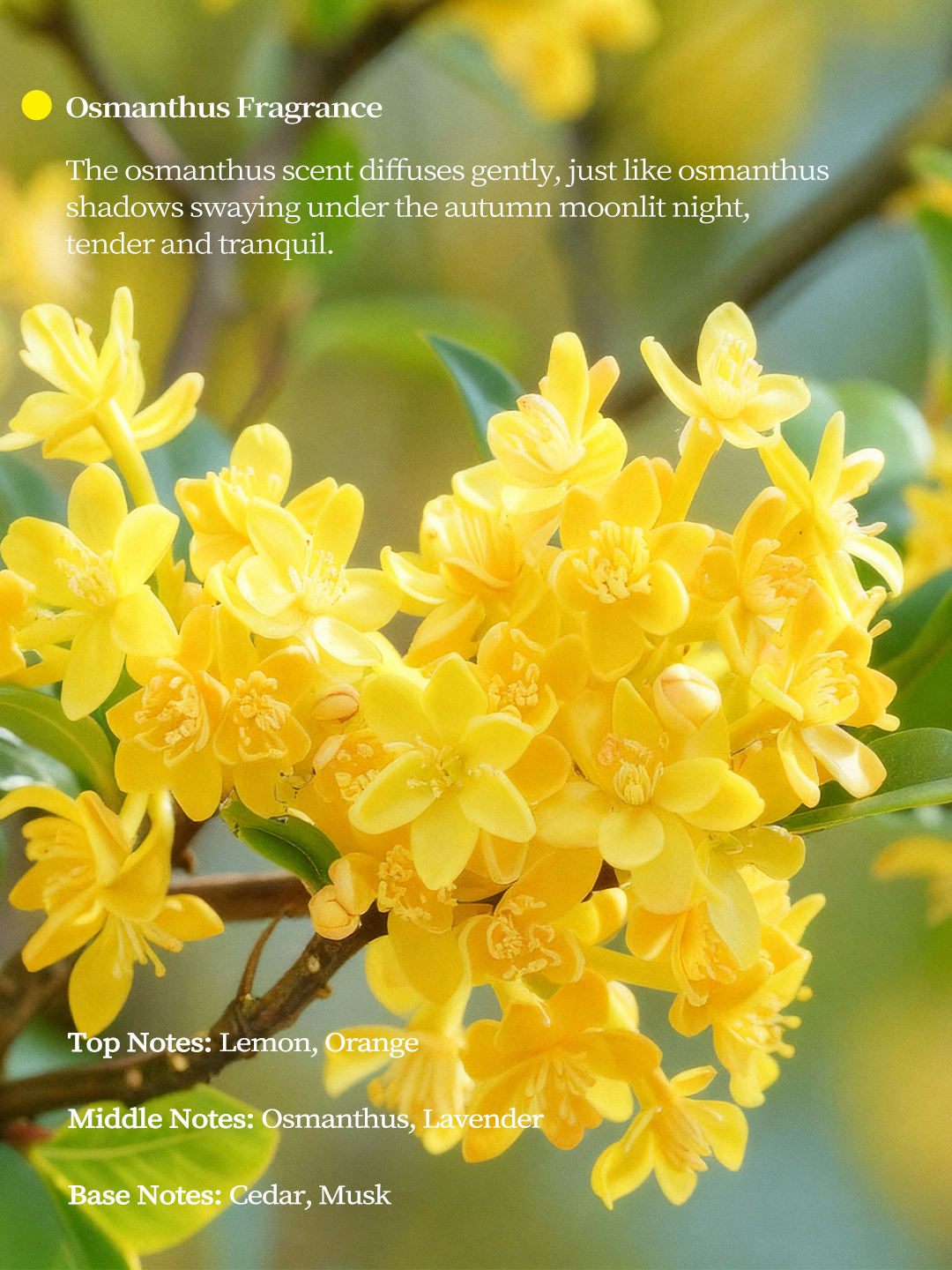 The Gilded Silhouette™ | Sculptural Porcelain Vessel